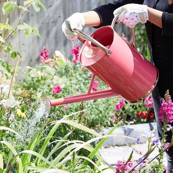 Special Offer Watering Can Metal 9L