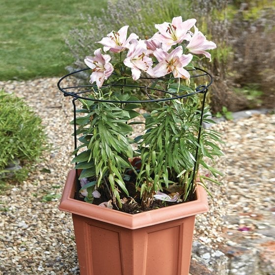 Gro-Ring 50cm with 75cm Legs