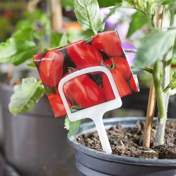12.5cm T Plant Garden Labels - Pack of 10