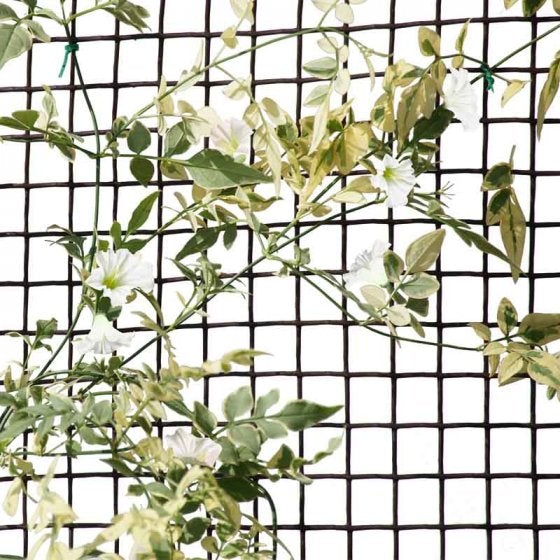 General Purpose Garden Mesh - 20mm, 1 x 5m, Brown