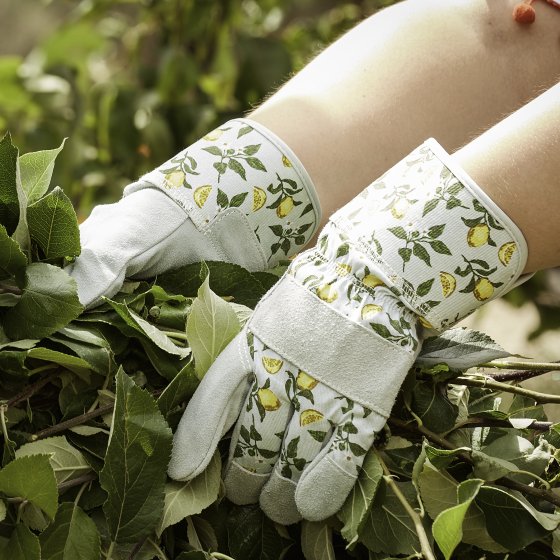 Sicilian Lemon Tuff Rigger Gardening Gloves M8