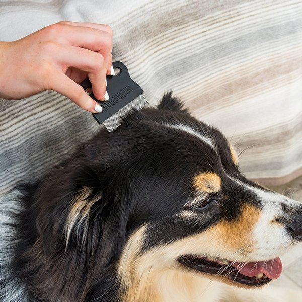 Zoon Dog Grooming Flea Comb