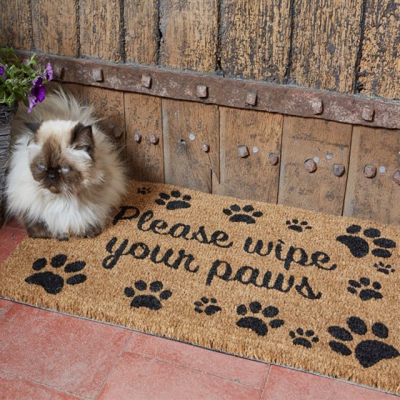 Wipe Your Paws Decoir Mat - 75x45cm Door Mat