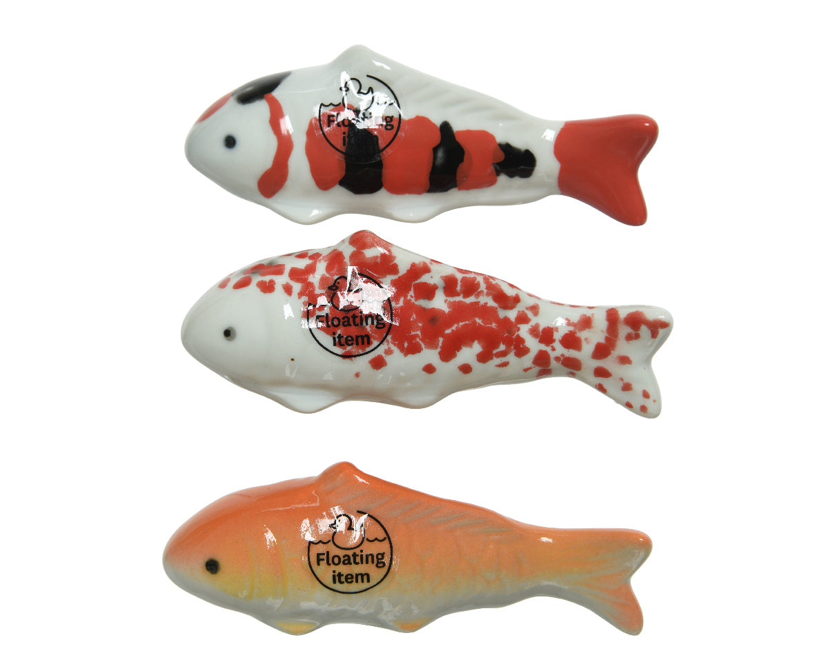 Floating Glazed Porcelain Fish – Southwood Garden Centre