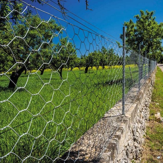 Galvanised Wire Netting, 50mm, 1x5m