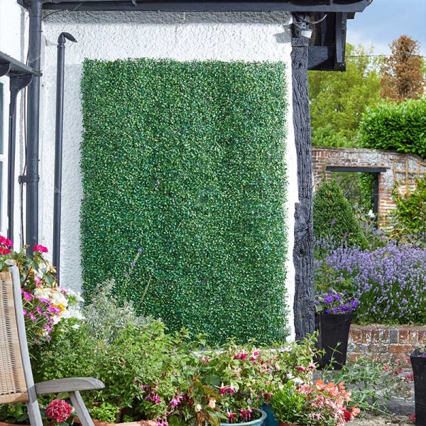 Boxwood Screening Panel 60 x 40cm – Southwood Garden Centre