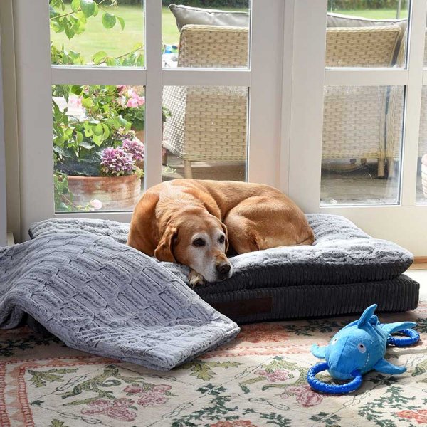 Luxury Komfort Kord Grey Memory Foam Mattress - Dog Bed