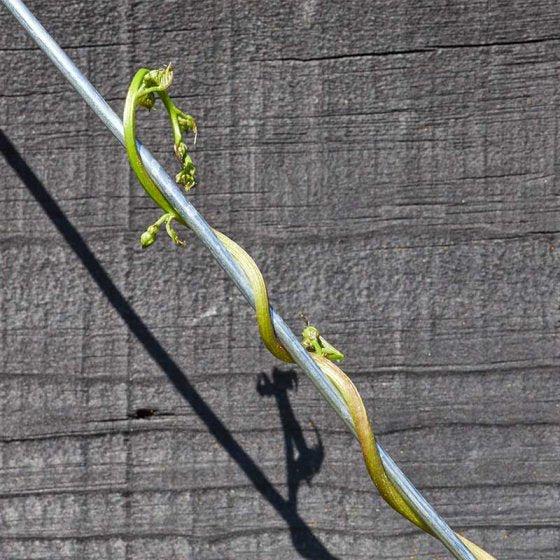Galvanised Heavy Duty Garden Wire - 3.0mm x 25m