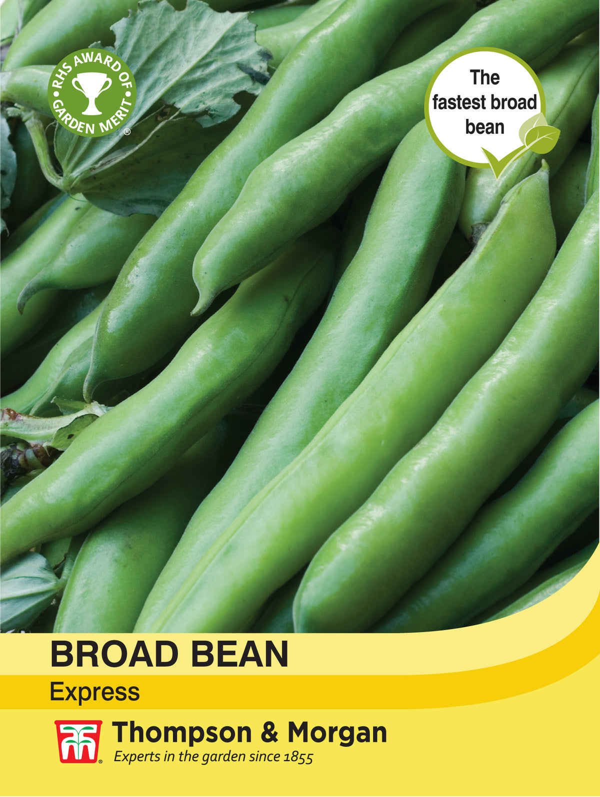 Broad Bean Express- Pack of seeds