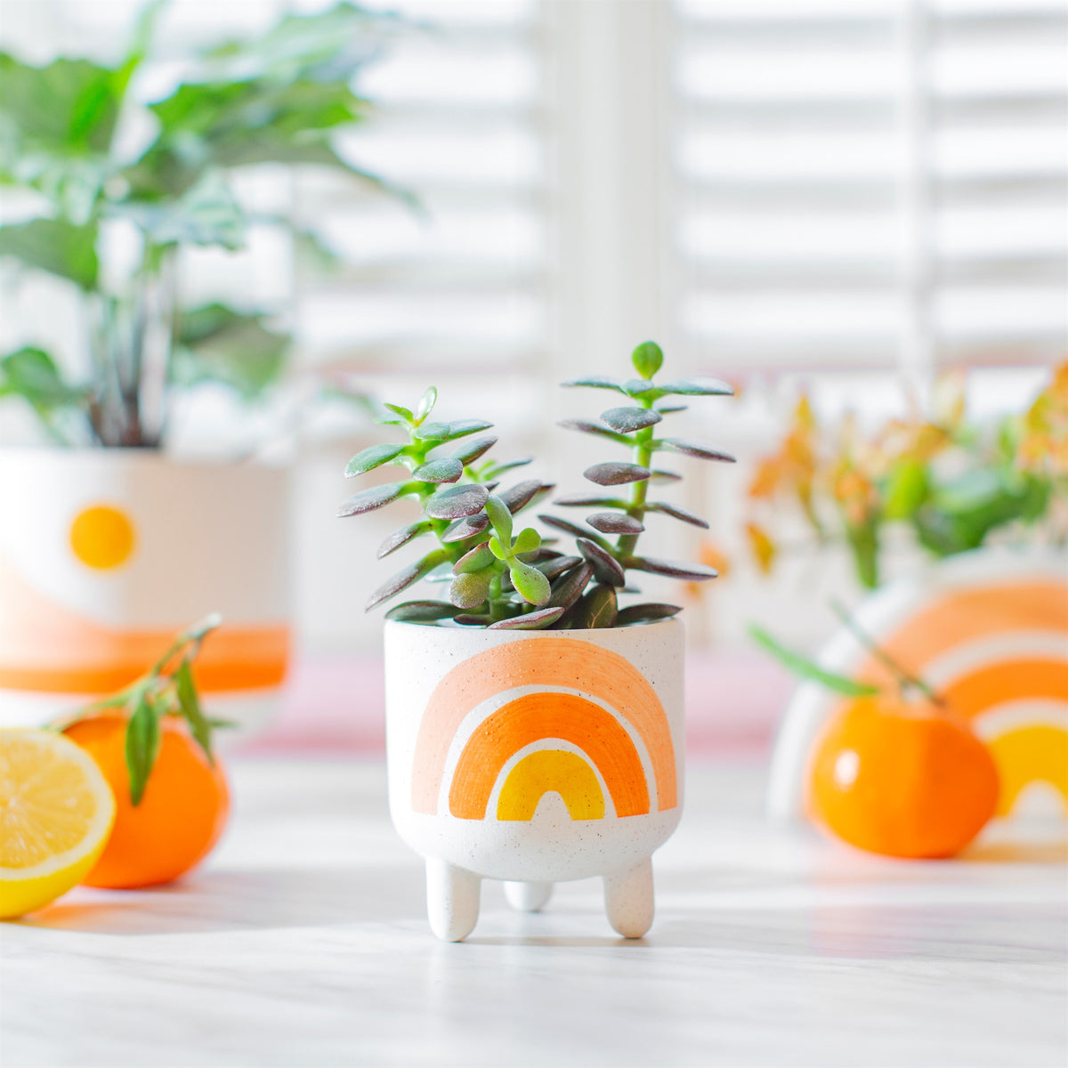 Mini Rainbow Planter on Legs