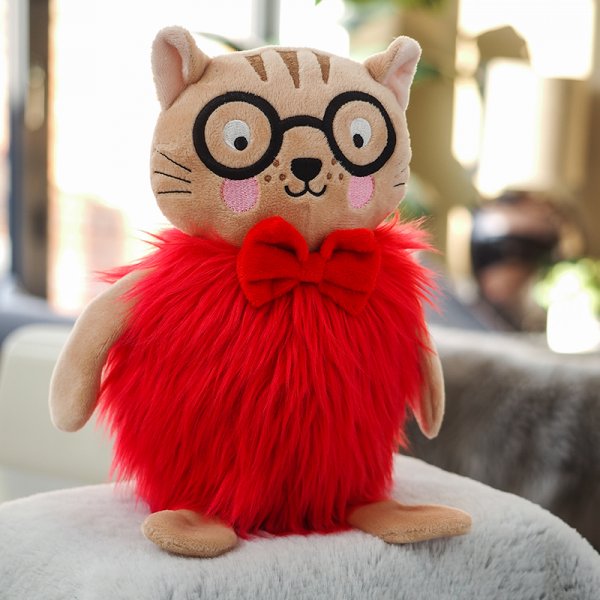 Ball-Z Tango Cat PlayPal Dog Toy