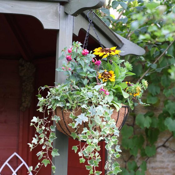 14in Smart Hanging Basket with Coco Liner