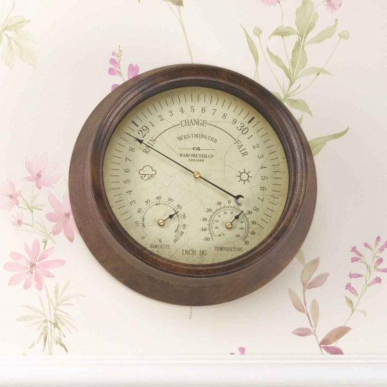 Westminster Barometer & Thermometer 8in