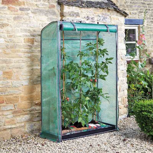 Tomato GroZone