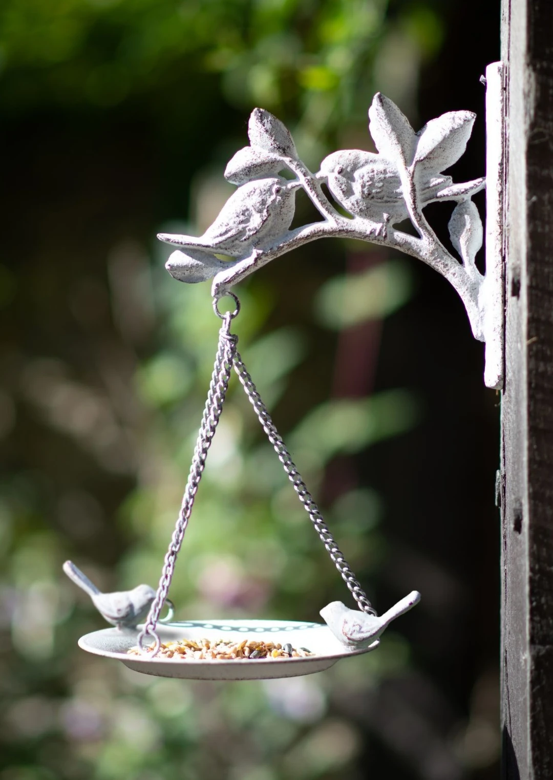 Wall Mounted Bird Bath/Feeder