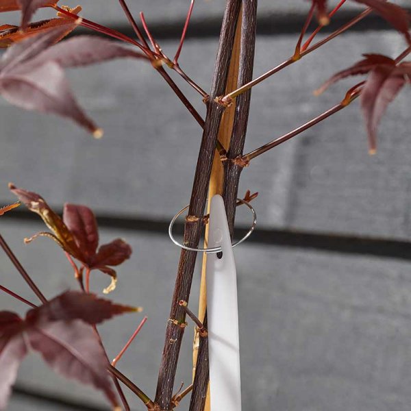 Galvanised Plant Rings - Pack of 100