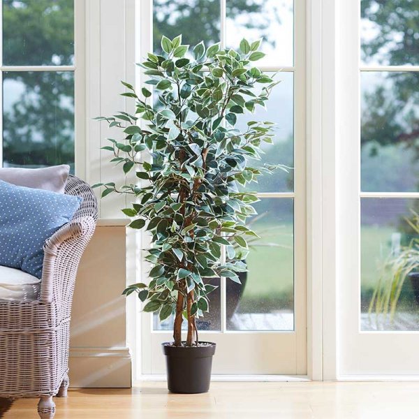 Faux Houseplant Weeping Fig - 130cm