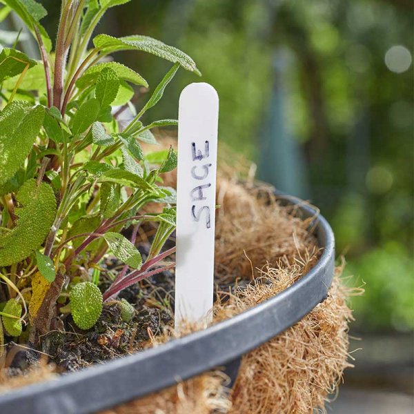 12.5cm Plant Labels - Pack of 100