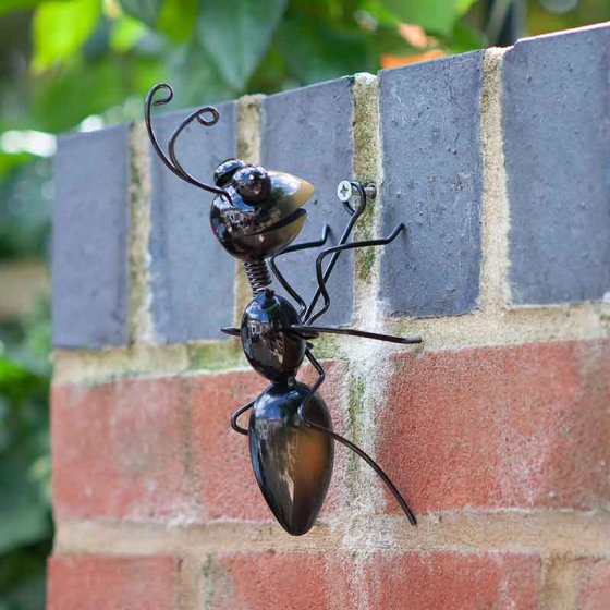 Ant Wall Hanger