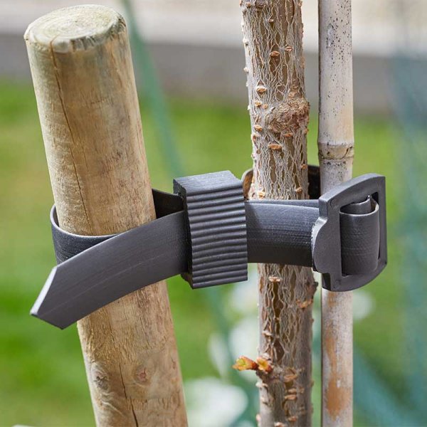 Buckle Tree Ties - Pack of 2