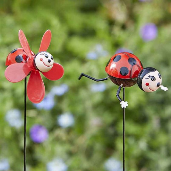 Ladybug Loony Stakes