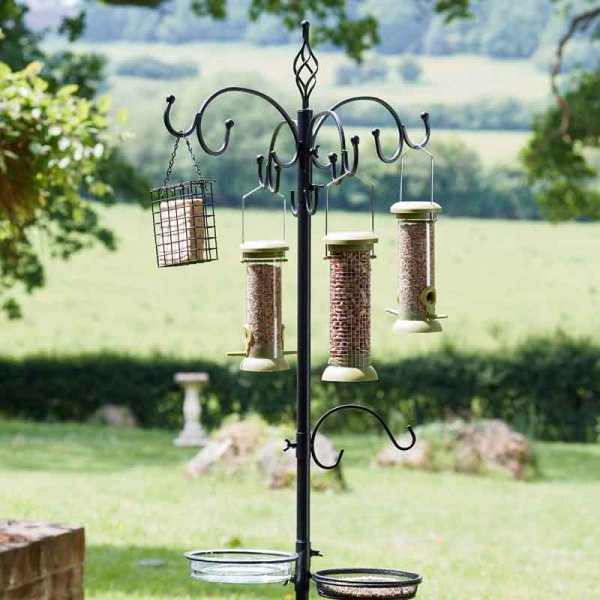 Complete Dining Bird Feeding Station