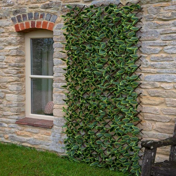 Hosta Leaf Trellis