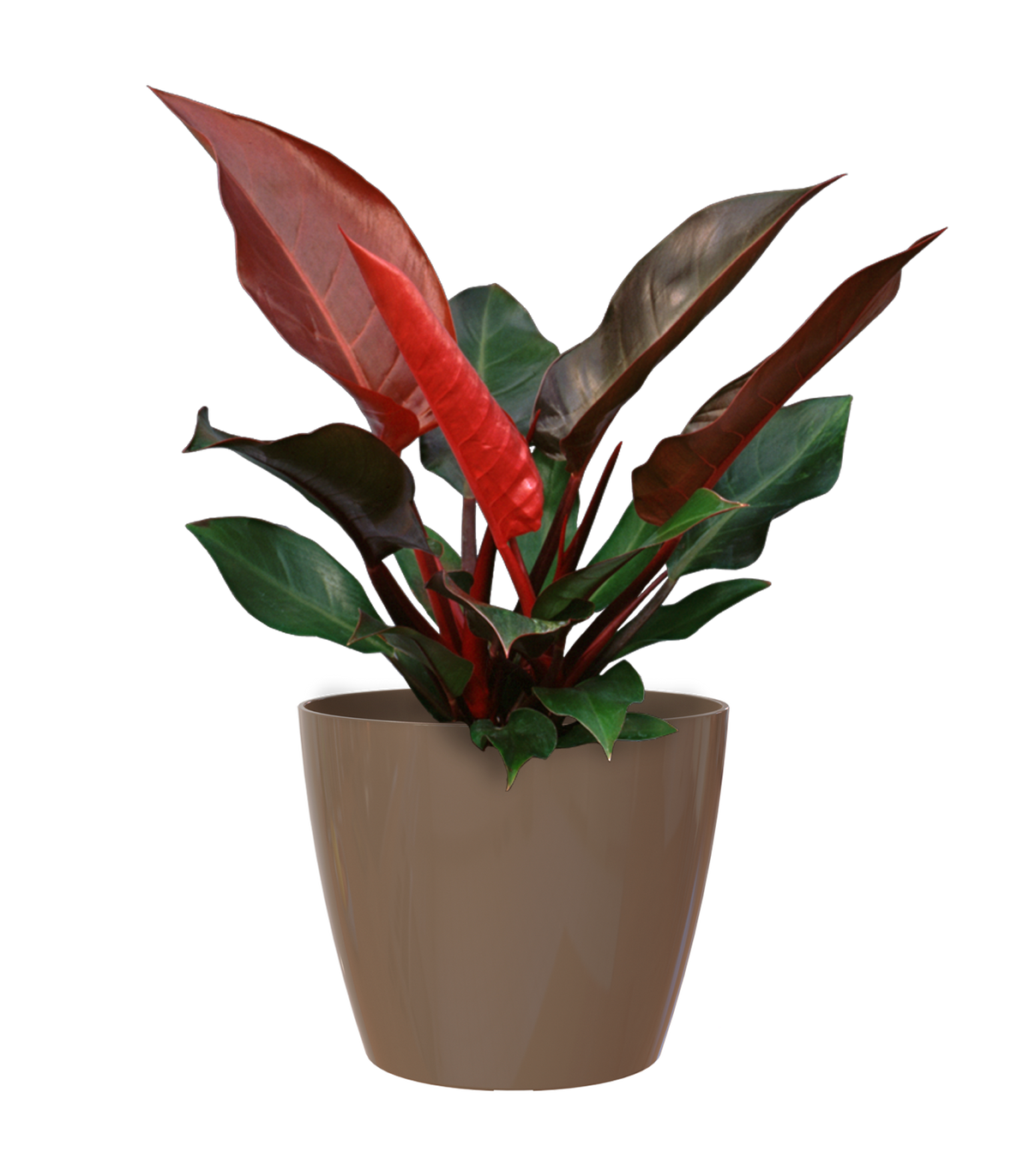 Artevasi San Remo Plant Pot Taupe- 18cm