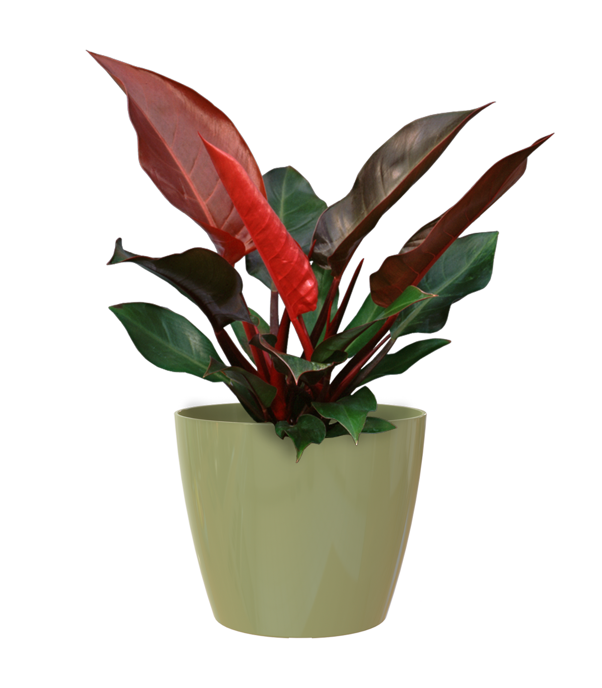 Artevasi San Remo Glossy Plant Pot- 6cm