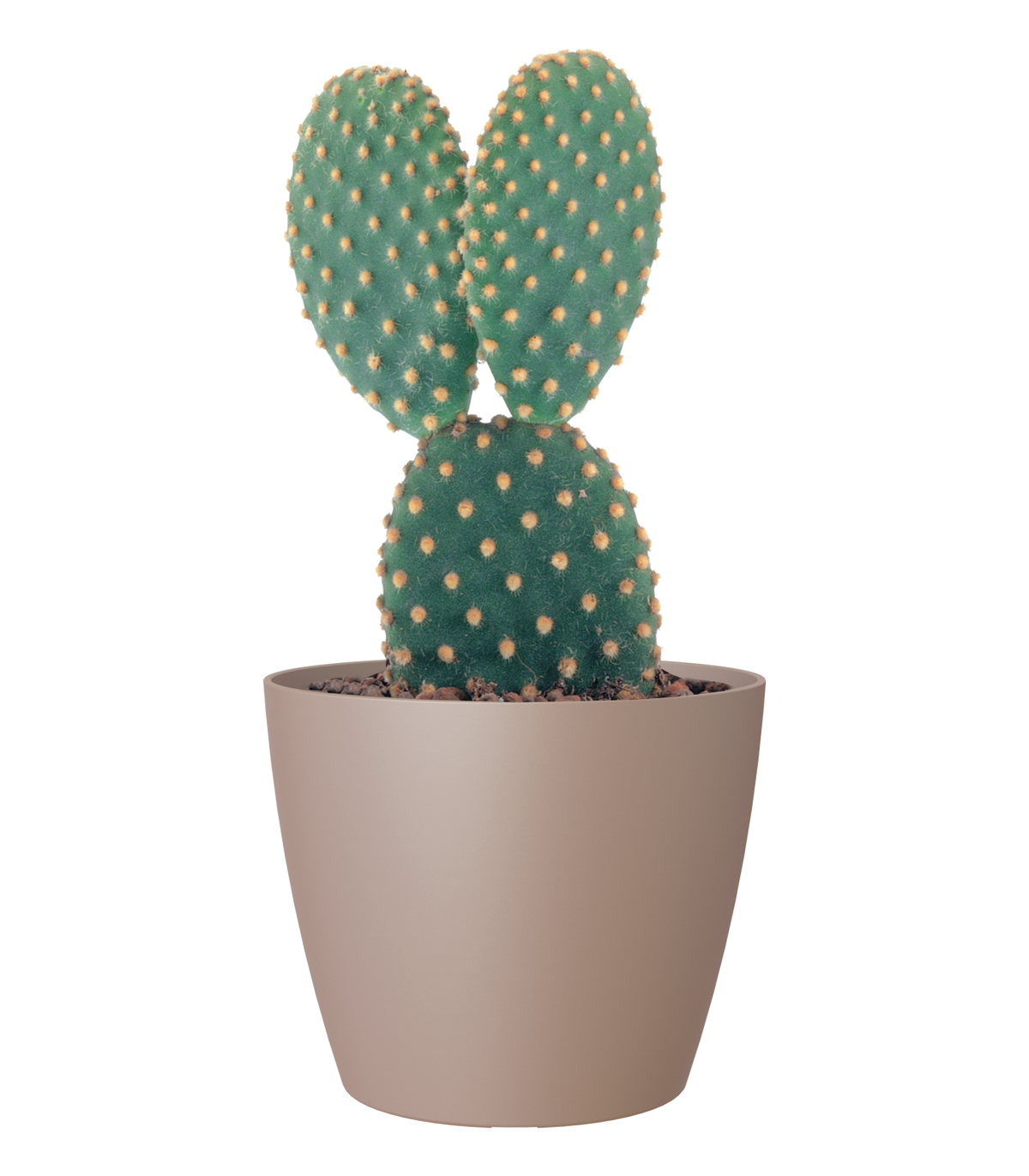 Artevasi San Remo Matte Plant Pot- 18cm