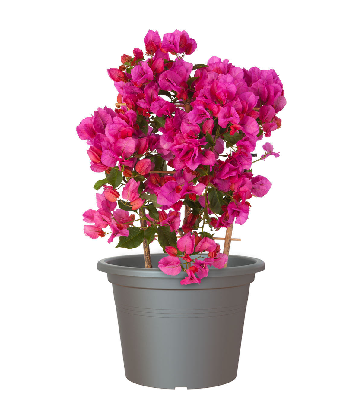 Artevasi Venezia Cilindro Plastic Plant Pot- 25cm / 4.9L