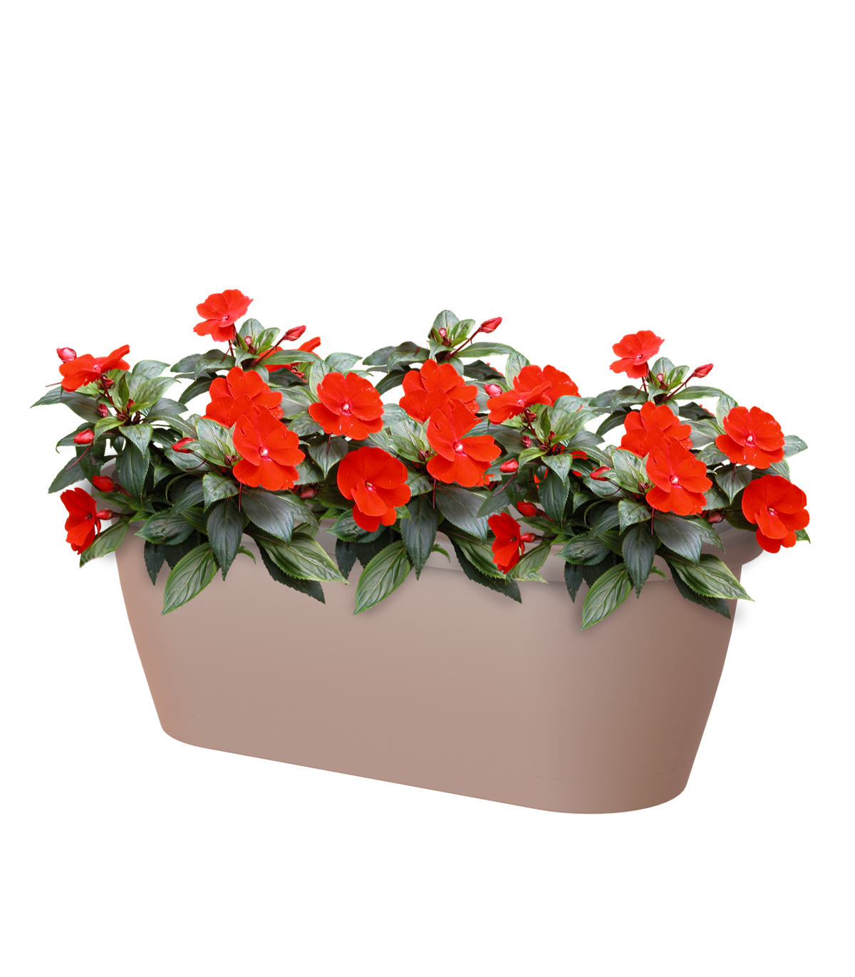 Artevasi Algarve Wall Plastic Plant Pot Box- 40cm / 5L